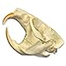 Real Muskrat Skull A Quality