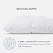 Cushion Lab Extra Support Adjustable Shredded Memory Foam Pillow for Back, Stomach, Side Sleeper - Sleep Comfort & Neck Support Bamboo Pillow, Oeko-Tex Hypoallergenic Cover, CertiPUR US, Queen Size