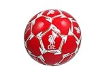 Liverpool F.C. Authentic Official Licensed Soccer Ball Size 2
