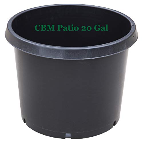 CBM 220 Gallon Premium Black Plastic Nursery Plant Container Garden
