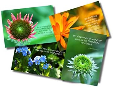 4 Get Well Cards with Quotes Sayings and Quotes – Get Well cards Large Postcard – Flower Power – 4 Post Cards with Envelopes – Gift for Strength and Courage