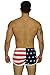 Men's American Flag and Nylon Swimwear Running Shorts