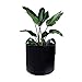 PHYEX 12-Pack 10 Gallon Nonwoven Grow Bags, Aeration Fabric Pots with Durable Handles, Come with 12 Pcs Plant Labelsthumb 4