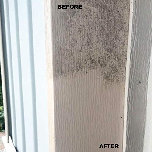 STAR BRITE Professional Grade Mold & Mildew Stain Remover 32 OZ