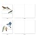 The Best Card Company - 10 Bird Note Cards Blank (4 x 5.12 Inch) - All Occasion Cards with Envelopes, Boxed Set - High Wire Birds M3318