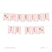 Andaz Press Blush Pink Gold Glitter Print Wedding Collection, Hanging Pennant Party Banner with String, Bride to Be, 5-Feet, 1 Set