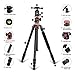 ZOMEi 75'' Tripod,Camera Tripod for DSLR,Ball Head Tripod Professional Tripods 4 Section Horizontal Tripod with 360 Degree Ball Head Plate for Canon DSLR DV Scope Camcorder and Projector
