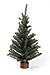 Darice Mini Canadian Pine Tree with Wood Base (1pc), Green – Spread Holiday Décor Around Your Home – Artificial Tree Has 124 Tips and Works Great with Mini Ornaments and Lights, 18”