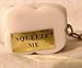 ALASKA POOPING POLAR BEAR Squeeze Me Key Chain