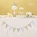 Ling's Moment 15pcs Paper Banner Flags Triangle Flags Banner Vintage Style Pennant Banner for Wedding, Baby Shower, Event & Party Supplies, Photograph Props(Gray+Pastel Blue+Silver Glitter)