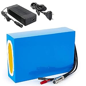 E-bike batterij 36V 20AH, elektrische fiets 18650 lithiumbatterij, geavanceerd BMS, oplader, geschikt voor 500w 350W…