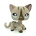 do1n Littlest Pet Shop #468 Gray Short hair Cat kitty Tan Blue Eyes LPS
