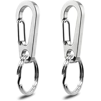 IVIA Dog Tag Clips / 2 Pack/Multiple Size 304 Stainless Steel Quick Clip with Rings/Easy Change Dog Cat ID Tag Holder for Small pet Collars and Harnesses.(2 Small Silver)