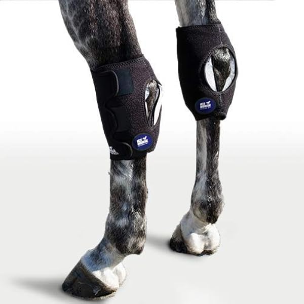 Ice Boot Wrap for Horse Leg Tendon Knee Hock Reusable Cold Pack Cooling