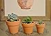 My Urban Crafts Mini Terracotta Clay Pots - 3 Different Size Assortment - Great for Baby Succulent Cuttings & Propagating, DIY Craft Projects, Wedding & Party Favors (12 Pcs Variety Pack)