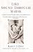 Like Sound Through Water: A Mother's Journey Through The Auditory Processing Disorder by Karen J. Foli, Edward M. Hallowell