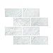 Carrara White Italian (Bianco Carrara) Marble 6 X 12 Subway Field Tile, Polished