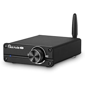 Douk Audio G5 HiFi Bluetooth 5.0 Digitale versterker Mini Class D Stereo versterker (Zwart)