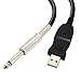 USB Guitar Cable 10ft,Guitar Bass to PC USB Recording Cable Adapter Converter Connection Interface, USB to 6.5mm Jack Computer Recording Cable