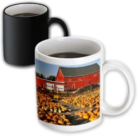 Danita Delimont - Jaynes Gallery - Barns - USA, Oregon. Red barn and