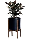 Timeyard Mid Century Plant Stand - Best Fits 10'' Flower Pot, Wood Indoor Planter Holder, Modern Home Decor (Planter Not Included)