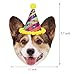 Gyzone Dogs Birthday Garland, Funny Corgi Face Portrait Birthday Banner, Dog Bday Bunting Decorations
