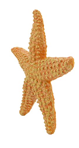 Safari Ltd Wild Safari Sea Life Starfish