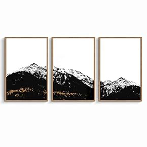 signwin 3 Piece Framed Canvas Wall Art Black...