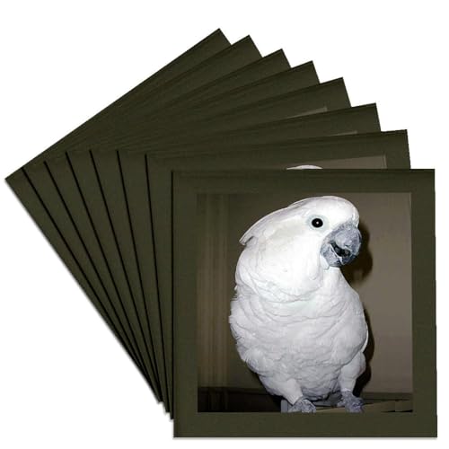 3dRose Umbrella Cockatoo - Ceramic Tile Coasters, set of 8 , set-of-8-Ceramic,…
