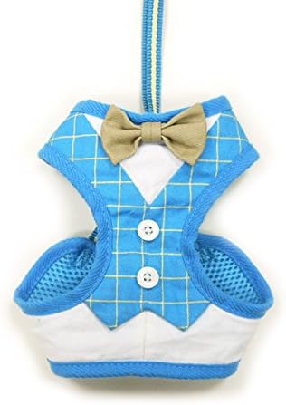 DOGO 100 Dogo EasyGo Bowtie Blue Harness - Medium