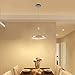 CHYING Pendant Light Modern LED Pendant Lighting 15W 3000K Contemporary Silver Circle Hanging Light Fixture for Kitchen Island Dining Room Bedroom Foyer