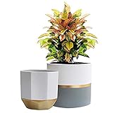 LA JOLIE MUSE White Ceramic Flower Pot Garden