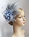 Cizoe Women's Fascinators Hat Hair Clip Feather Wedding Headware Bridal 1920s Headpiece(1-Grey)