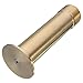 Kisstaker 1 Inch Brass Fountain Mushroom Spray Head Garden Landscape Fountain Nozzle