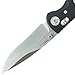 Benchmade - Foray 698, Plain Drop-Point