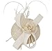 Fascigirl Sinamay Fascinator Hat Feather Party Pillbox Hat Flower Derby Hat for Women