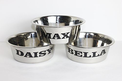 Personalized 2 Quart Stainless Steel Dog Bowl Perfect Gift For Your Special Pet!