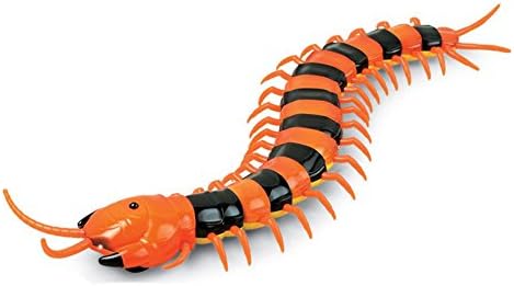 Kid's Infrared RC Remote Control Centipede Scolopendra Creepy-crawly Toy Variegated