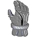 WARRIOR 2017 Evo Gloves
