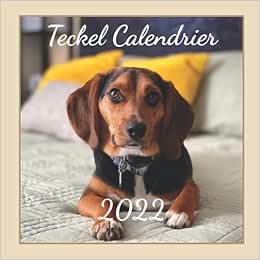 Calendrier Teckel 2023 Teckel Calendrier 2022: Restez Au Top De Votre Vie: Calendrier De 18 Mois  De Décembre 2021 À Mai 2023 Pour Les Amoureux Des Chiens [Cover Design:  Sleep Comfort: Size 8.5X8.5: Glossy] | Amazon.com.br