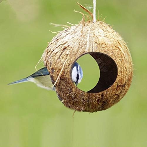 Amazon Com Bird Cages Nests Bird Feeder Parrot Hamster Lizard