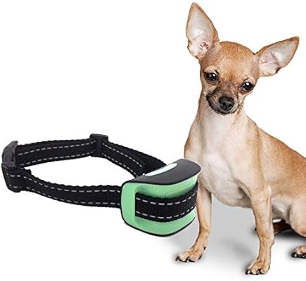 small dog no bark collar