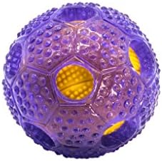 Bonpet Squeaker Ball Dog Toy, Interactive Dog Chew Toys?Biting for Medium or Large Dog toys