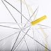 Parquet Kids Clear and Transparent Umbrella with an Easy Grip Handle, Petit Size, and Windproof for boys and girls.