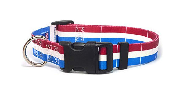 bmw dog collar