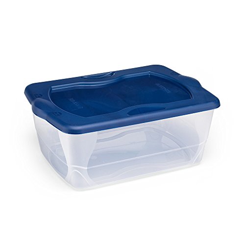 clear storage tubs with lids