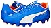 PUMA Men's Evospeed 4.4FG Soccer Shoe