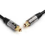 BlueRigger Premium Digital Optical Audio Toslink Cable - with 24K Gold Plated Connectors (for Home Theatre, Xbox, Playstation etc.) (6FT)