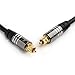BlueRigger Premium Digital Optical Audio Toslink Cable - with 24K Gold Plated Connectors (for Home Theatre, Xbox, Playstation etc.) (6FT) primary