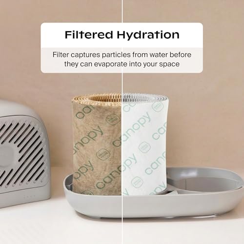 Canopy Bedside Humidifier 2.0, White, 36 HR Run Time, 2.5L Capacity - Reading Light & White Noise - Alleviate Symptoms of Allergies, Flu, Cold, Dry Skin - Humidifier, Filter, Power Cord & Adapter